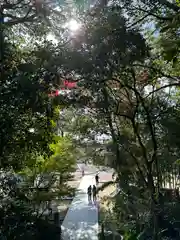 自凝島神社(兵庫県)