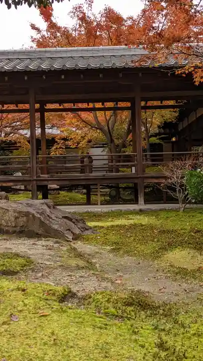 建仁寺(建仁禅寺)(京都府)