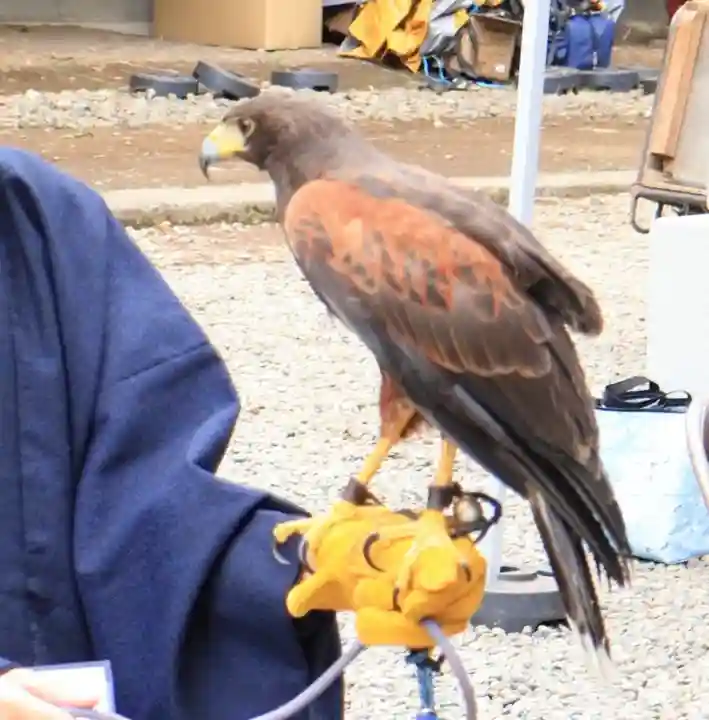 武蔵一宮氷川神社(埼玉県)