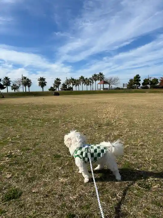 八雲神社(兵庫県)