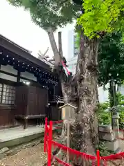 三輪神社(愛知県)