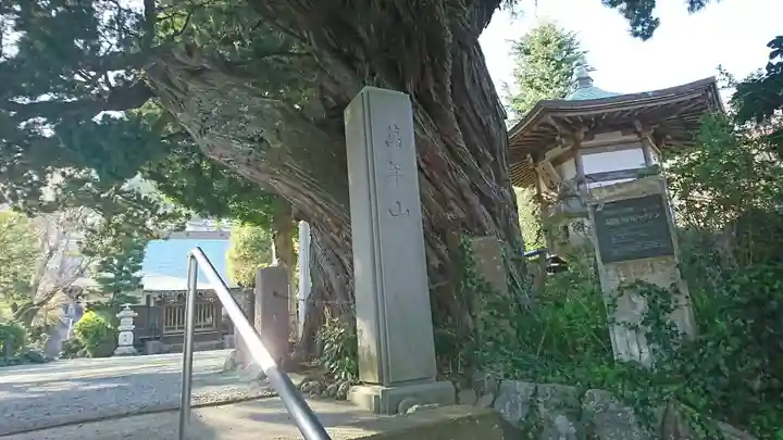 城願寺のその他建物
