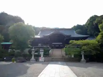 近江神宮の本殿・本堂