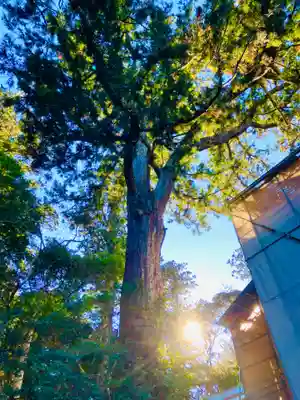 鹿島神宮(茨城県)