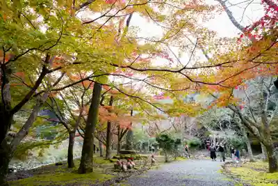 大寧寺(山口県)