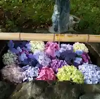 大山祇神社の手水舎