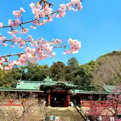 久能山東照宮(静岡県)