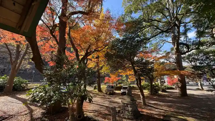 山崎神社(京都府)