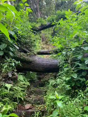 愛宕神社(千葉県)