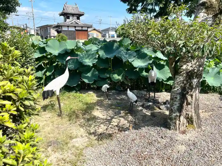 雲龍山 本證寺(愛知県)