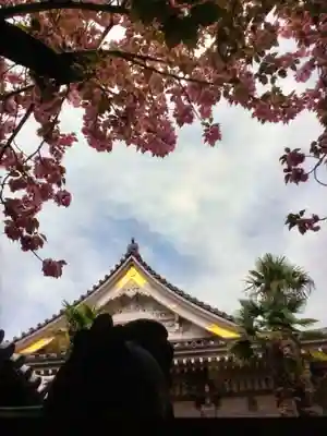 荘厳寺(東京都)