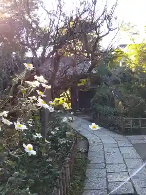 黄梅院(円覚寺塔頭)(神奈川県)