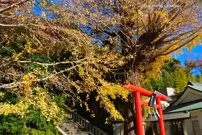 雷神社(神奈川県)