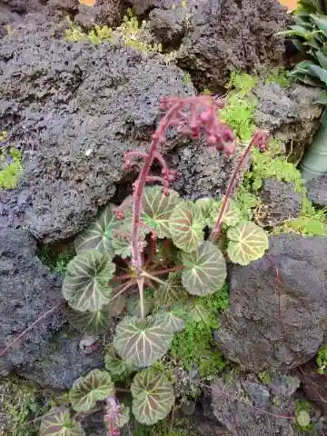 於三稲荷神社の庭園