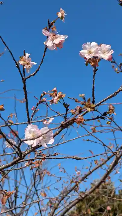 勧修寺(京都府)