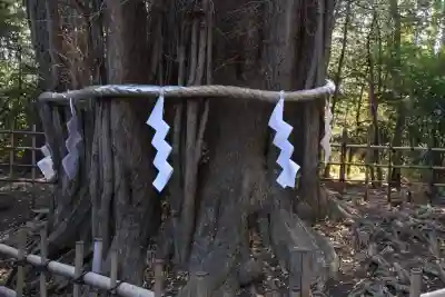 大國魂神社(東京都)