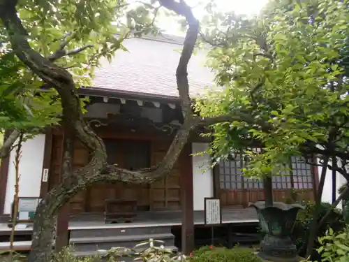 光照寺の本殿・本堂