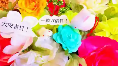 彌彦神社　(伊夜日子神社)のおみくじ