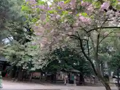 ときわ台天祖神社の自然