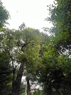 元郷氷川神社(埼玉県)