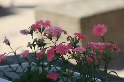 熊野福藏神社の庭園