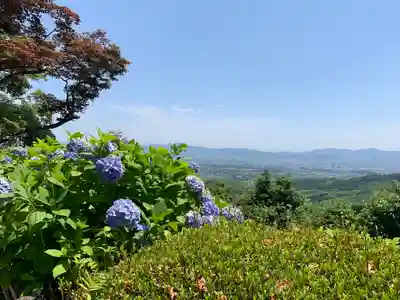 善峯寺(京都府)
