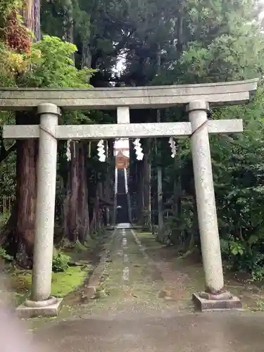 春日神社の鳥居