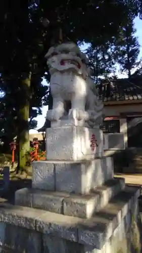 葛西神社の狛犬