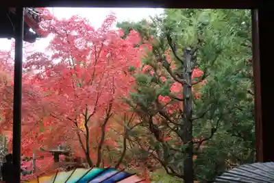 勝林寺(京都府)
