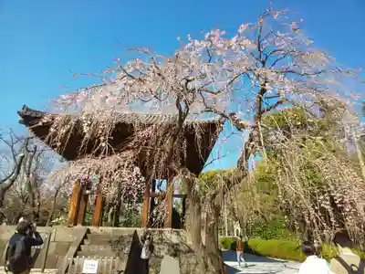 増上寺のその他建物
