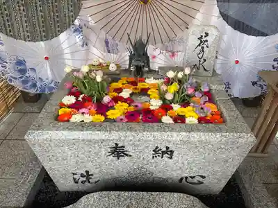 札幌諏訪神社の手水舎