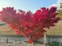 伊勢の国 四天王寺(三重県)