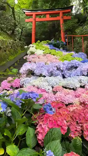 柳谷観音　楊谷寺(京都府)
