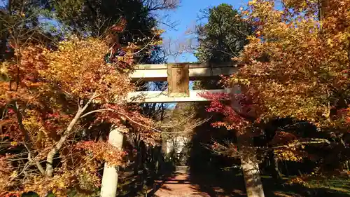 井伊神社の鳥居