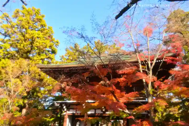 東漸寺(千葉県)