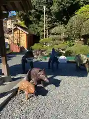 飽波神社の狛犬