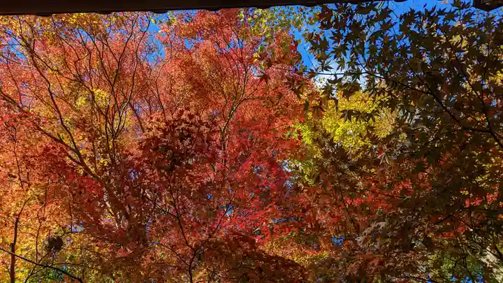 寂光院(京都府)