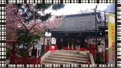 鴻神社(埼玉県)