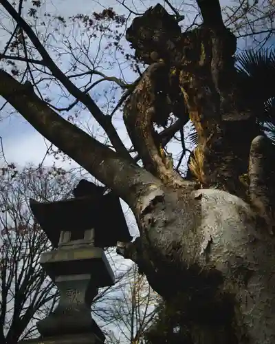 高﨑神社(群馬県)