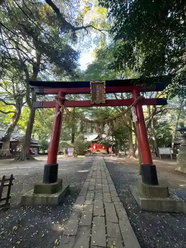 氷川女體神社(埼玉県)