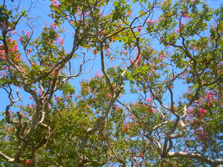 極楽寺(霊鷲山感應院極楽律寺)の庭園