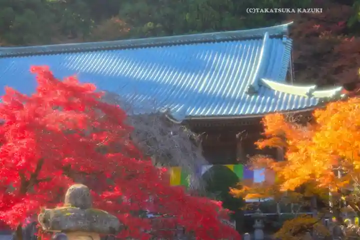 最乗寺(道了尊)(神奈川県)