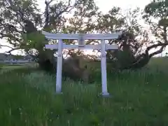 水神社の鳥居