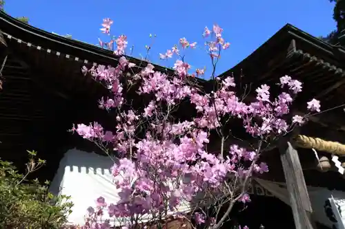 豊景神社の自然