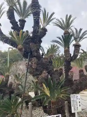 綱敷天満宮の自然