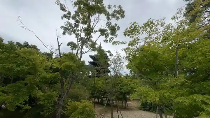 仁和寺(京都府)