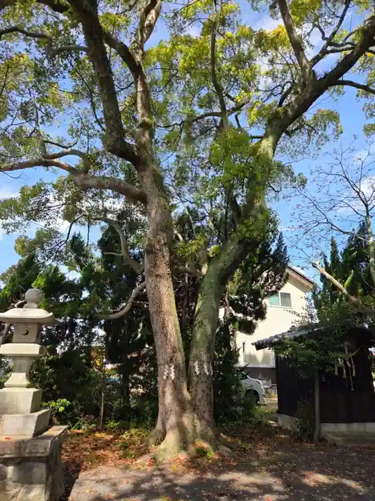 金山神社(福島県)