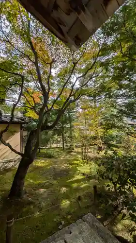 大仙院(京都府)