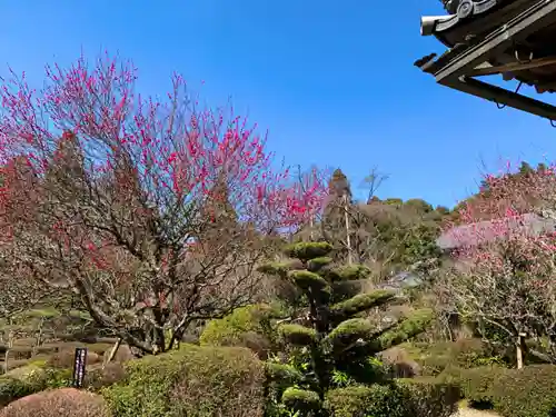 西明寺の庭園