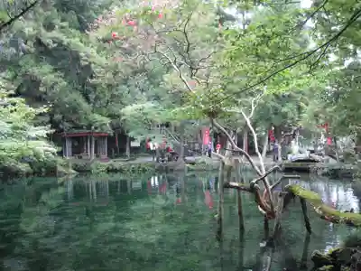 磯山弁財天の庭園
